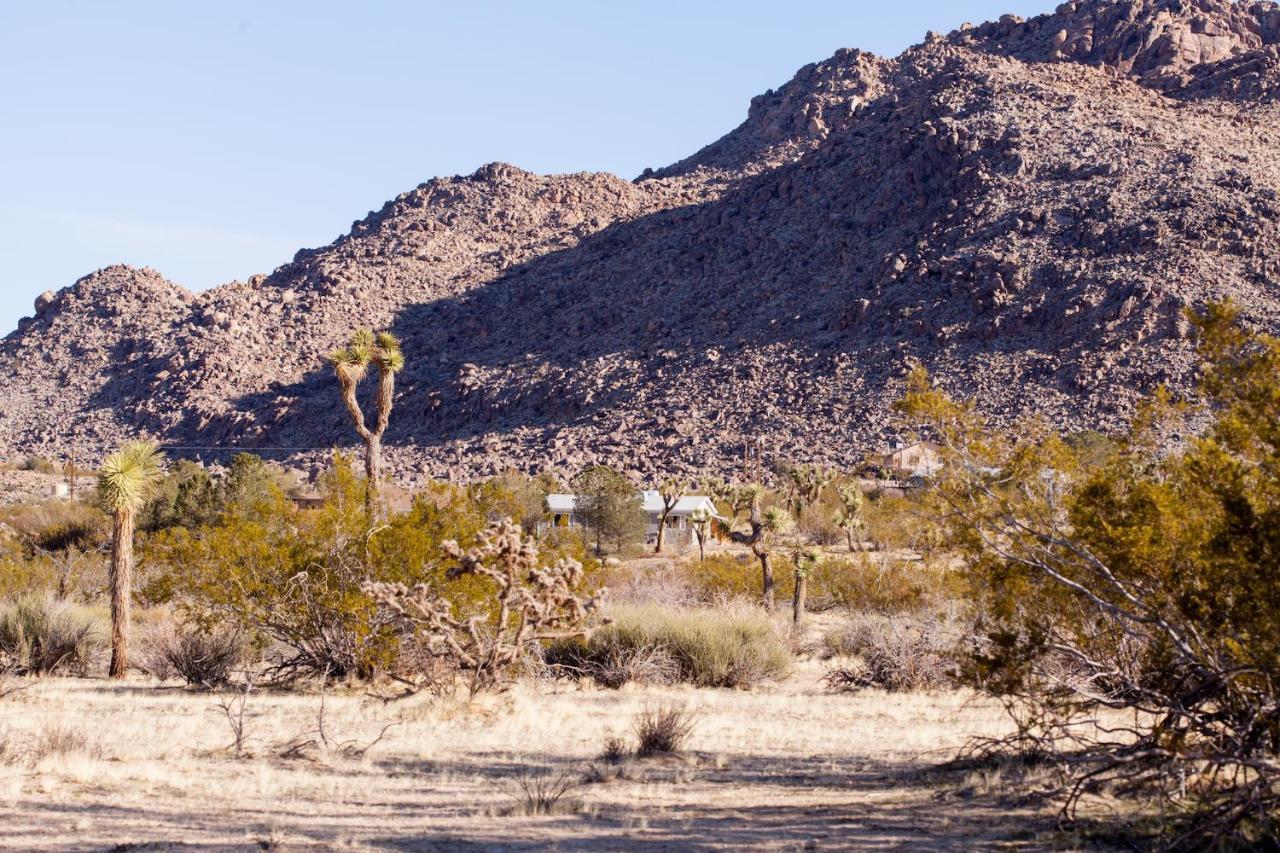 @ Marbella Lane - 10 Acres Oasis Desert Retreat! 조슈아 트리 외부 사진